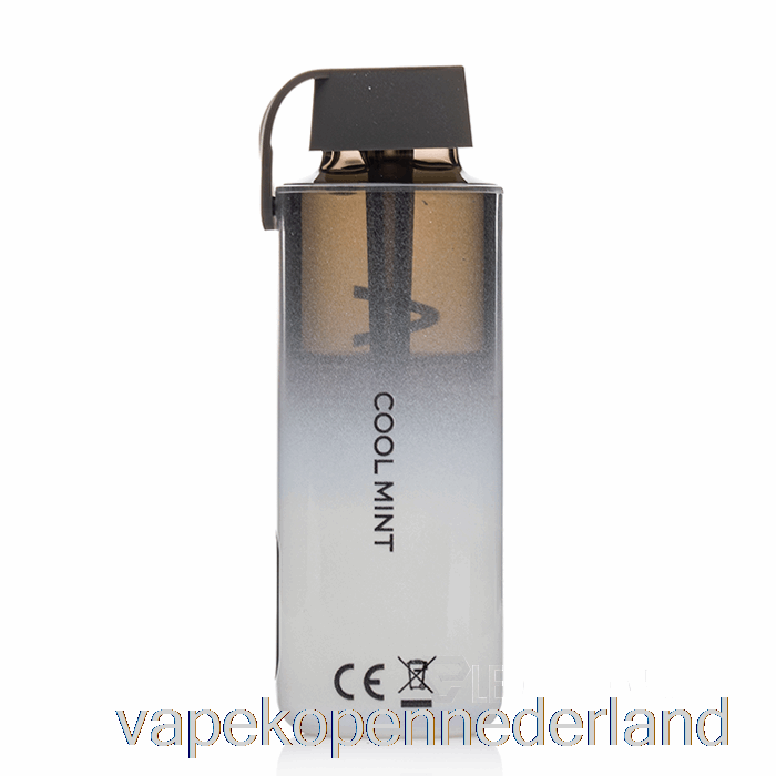 Vape Nederland Vozol Neon 10000 Wegwerp Cool Mint